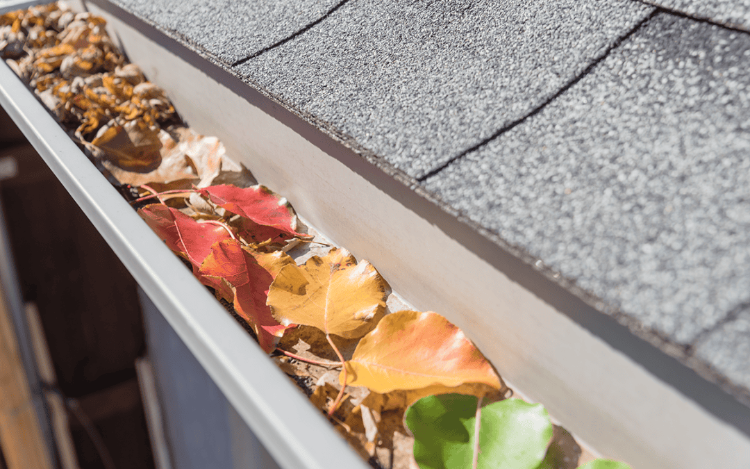The Importance of Regular Gutter Cleaning