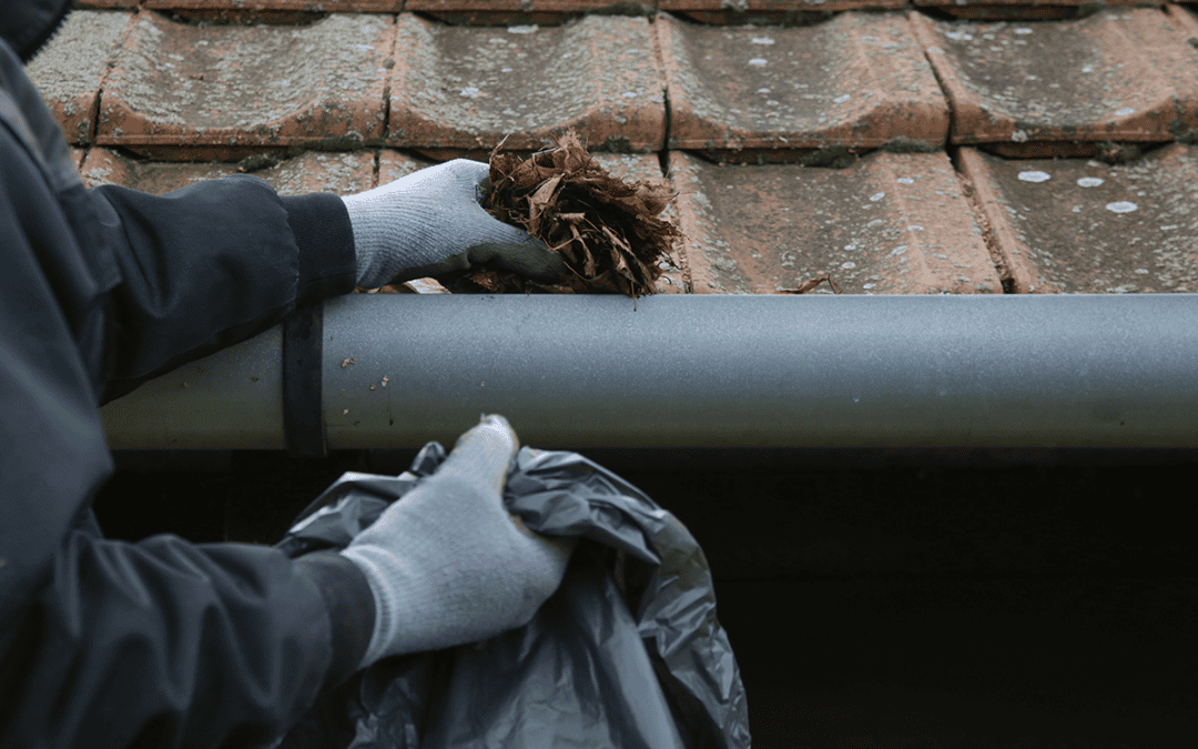 Redhill Gutter Cleaning FAQs: Everything Local Homeowners Ask
