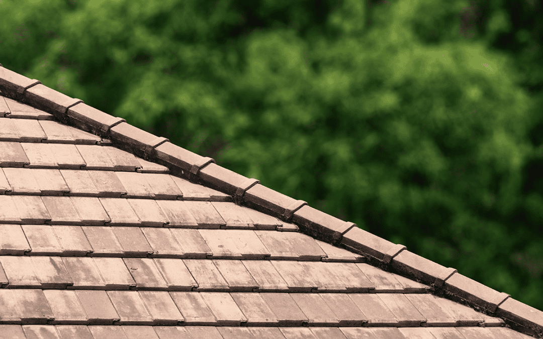 Why Redhill Residents Trust Go Local Roofing for Roof Repairs